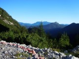 02. pogled na zelenilo koje se vrlo brzo gubi